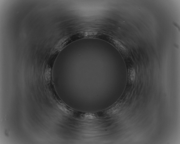 X0000092320475200709141416