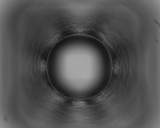 X0000092320476200709141416