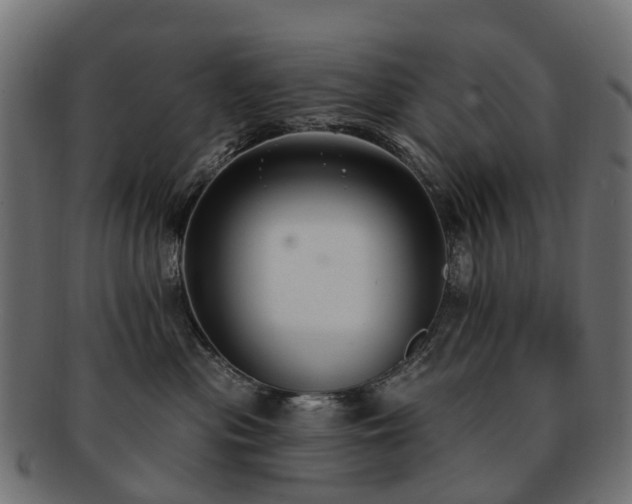 X0000092320477200709141416
