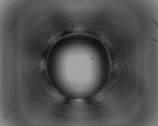 X0000092320478200709141416