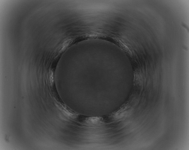 X0000092320479200709141416