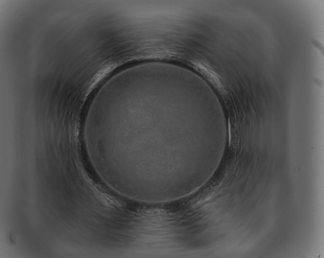X0000092320483200709141416