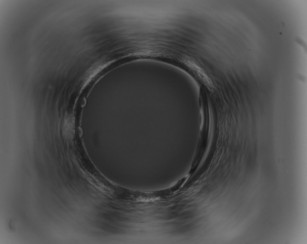 X0000092320484200709141416
