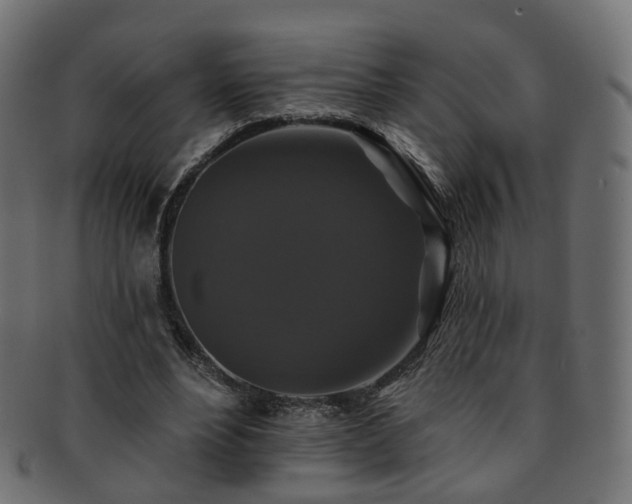 X0000092320488200709141416
