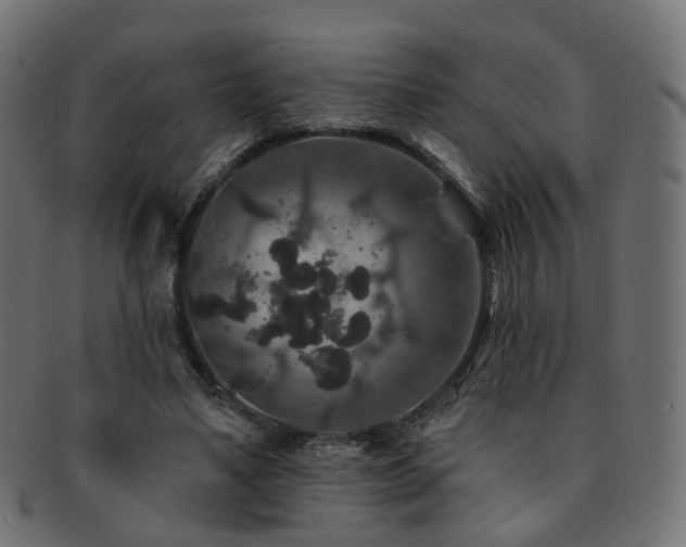 X0000092320491200709141416