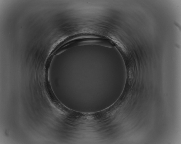 X0000092320492200709141416