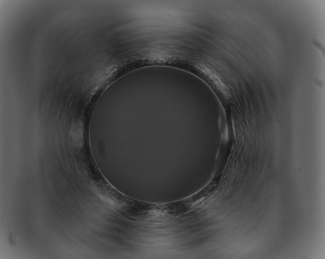 X0000092320496200709141416