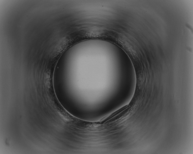 X0000092320497200709141416
