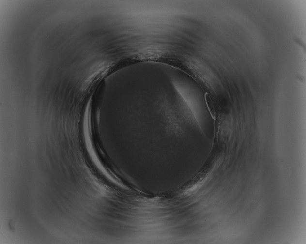 X0000092320501200709141416