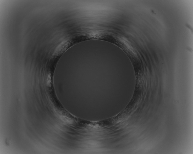 X0000092320502200709141416