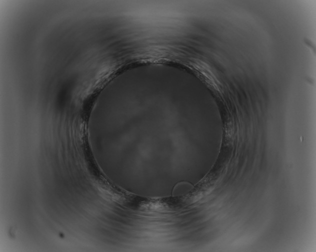 X0000092320503200709141416