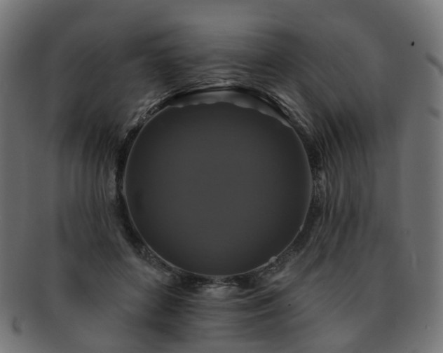 X0000092320504200709141416