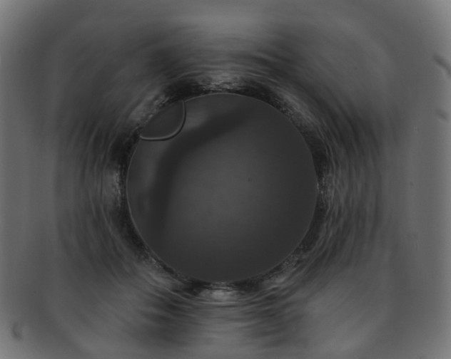 X0000092320506200709141416