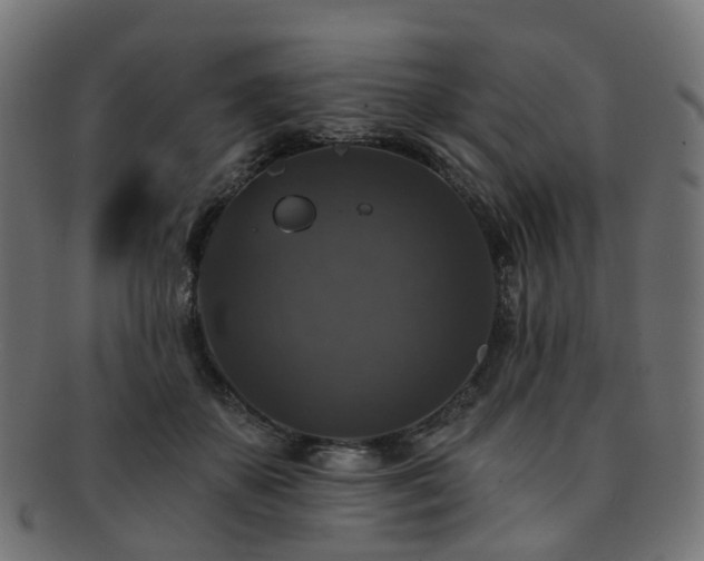 X0000092320507200709141416