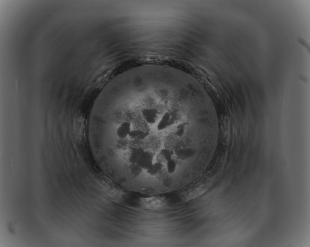 X0000092320511200709141415