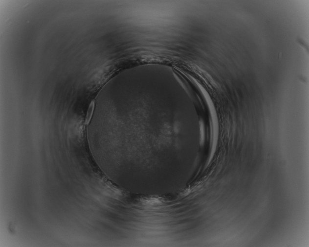 X0000092320513200709141415