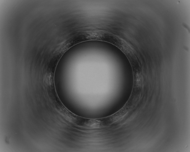 X0000092320514200709141415