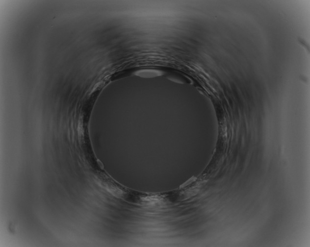 X0000092320516200709141415
