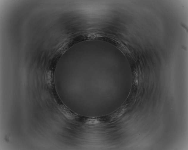 X0000092320519200709141415