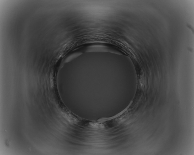 X0000092320520200709141415