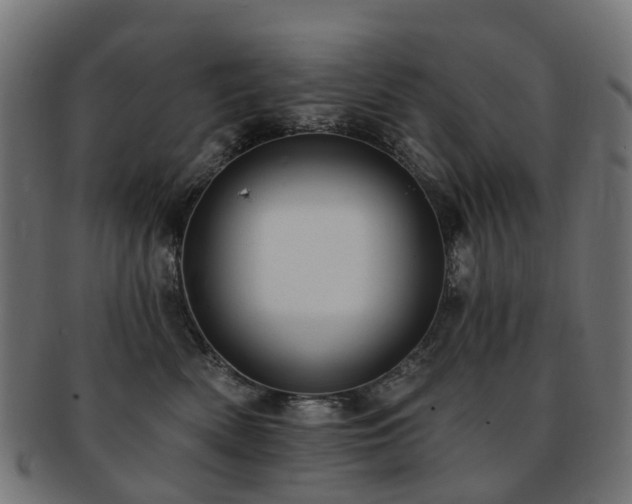 X0000092320522200709141415