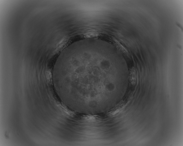 X0000092320523200709141415
