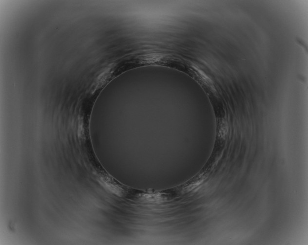X0000092320524200709141415