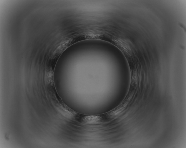 X0000092320526200709141415