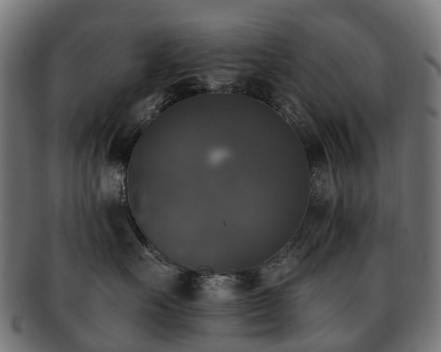 X0000092320527200709141415