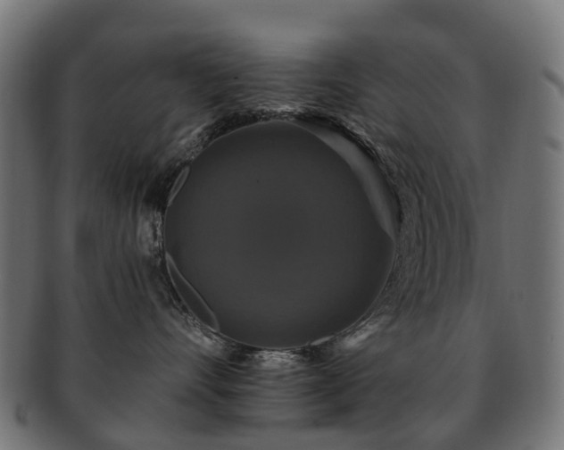 X0000092320528200709141415