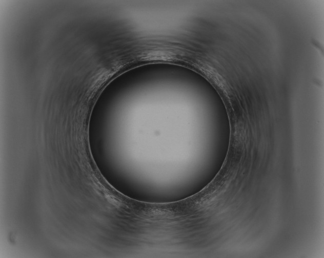X0000092320529200709141415