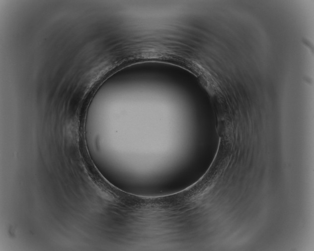 X0000092320530200709141415