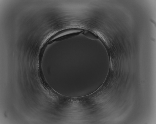 X0000092320531200709141415