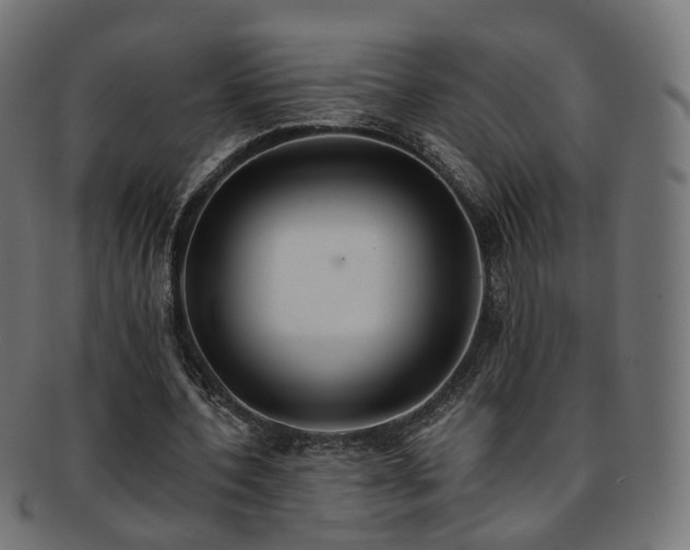 X0000092320532200709141415