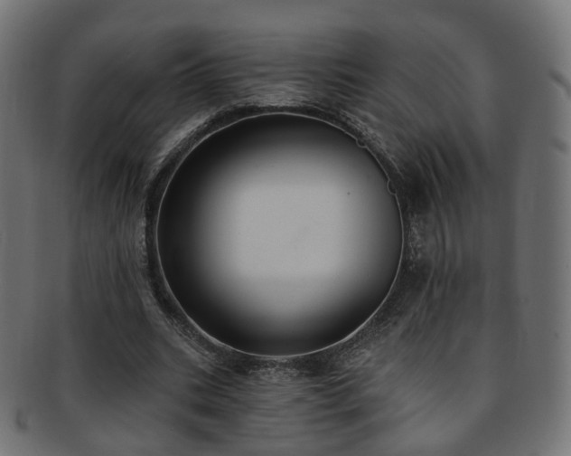 X0000092320535200709141415