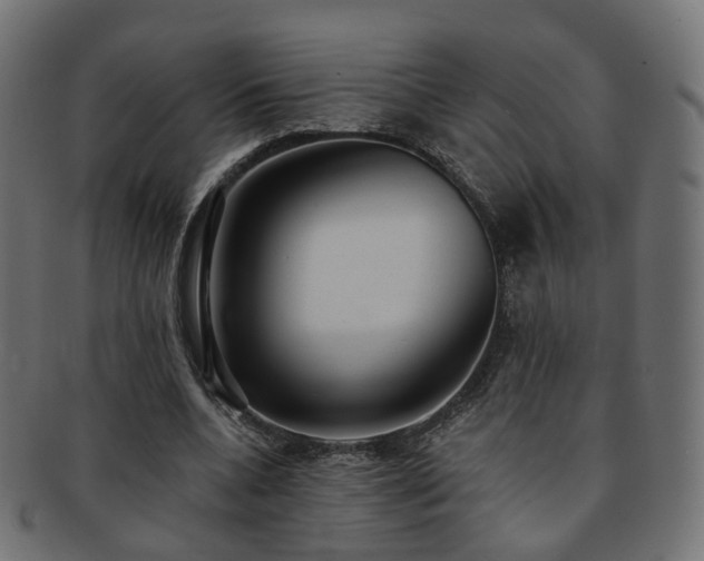 X0000092320536200709141415