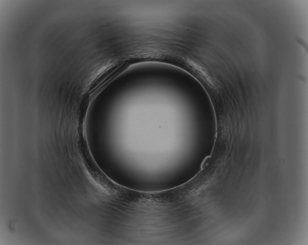 X0000092320538200709141415