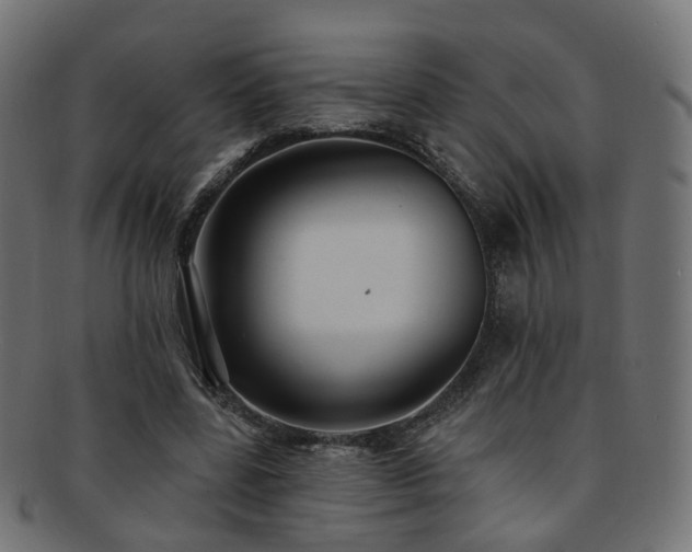 X0000092320539200709141415
