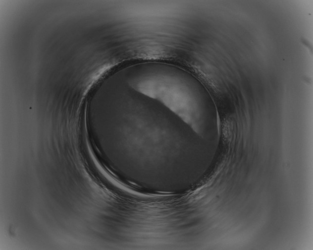 X0000092320540200709141415