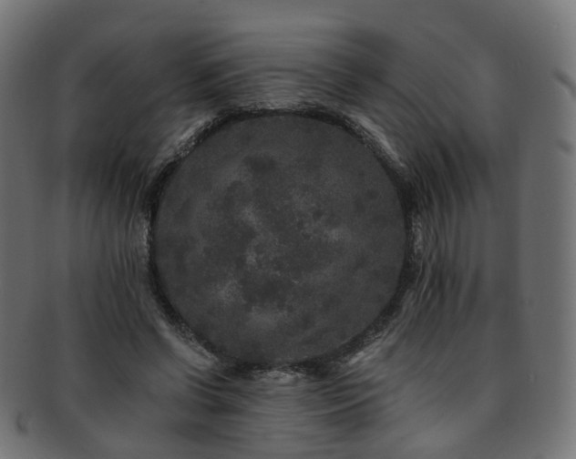 X0000092320542200709141415