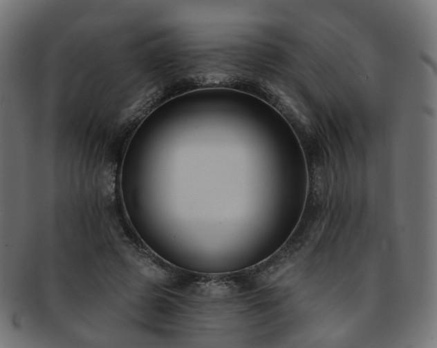 X0000092320545200709141415