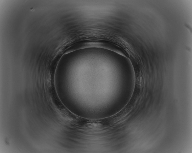 X0000092320552200709141415