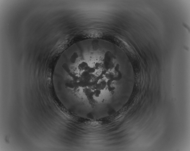 X0000092320553200709141415