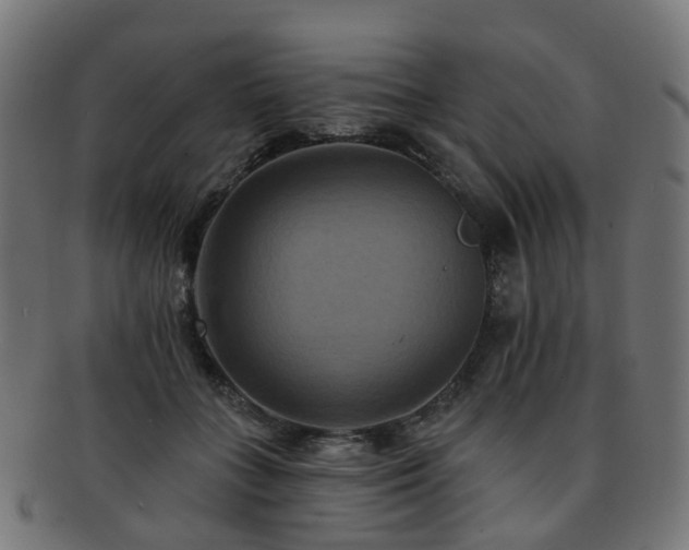 X0000092320555200709141415