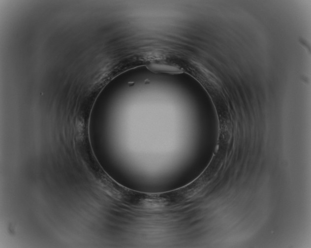 X0000092320556200709141415