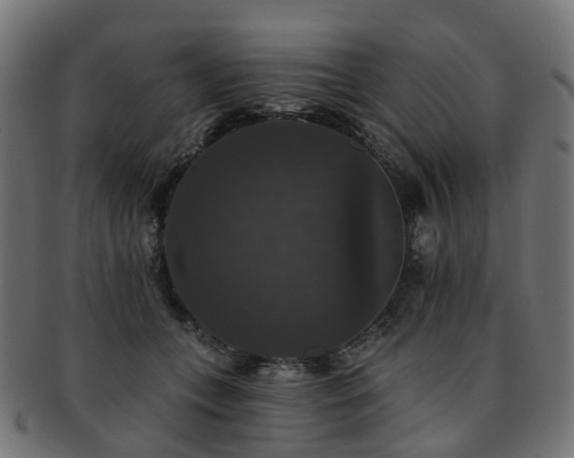 X0000092320559200709141415