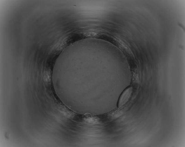 X0000092320561200709141415