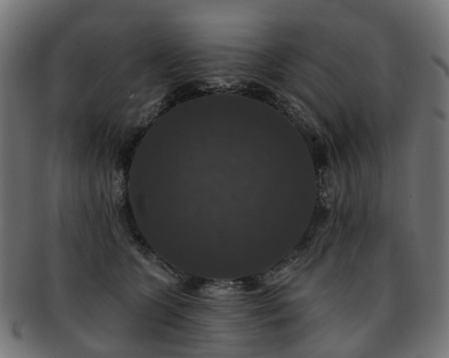 X0000092320563200709141415