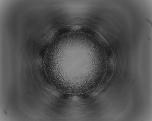 X0000092320565200709141415
