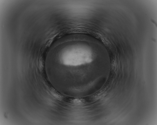 X0000092320566200709141415